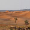 viaje 10 dias desde casablanca